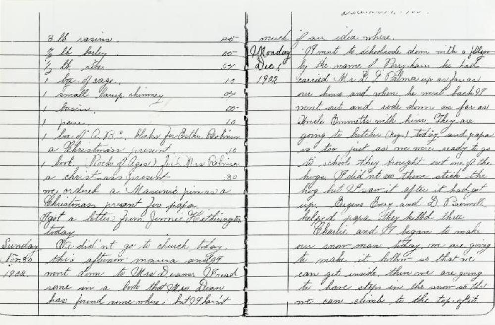 Diary of Fannie Jane Roberts, 1902 page 2