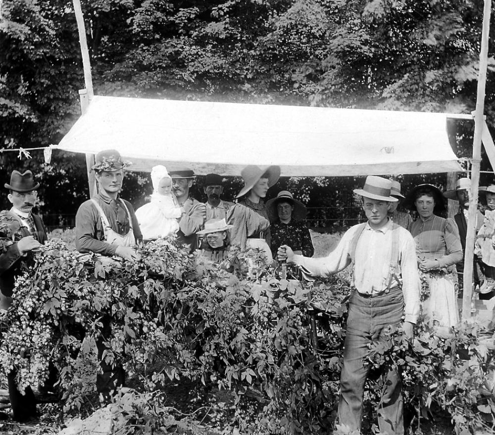 A Group of Hop Pickers Near Cooperstown, c. 1900 page 1