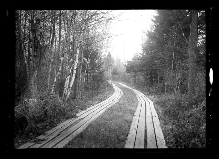 Plank road through property in Township 12, Dutchess County, N.Y page 1