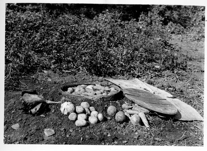Load World War II - Root Cellar Photograph in Main Document Viewer
