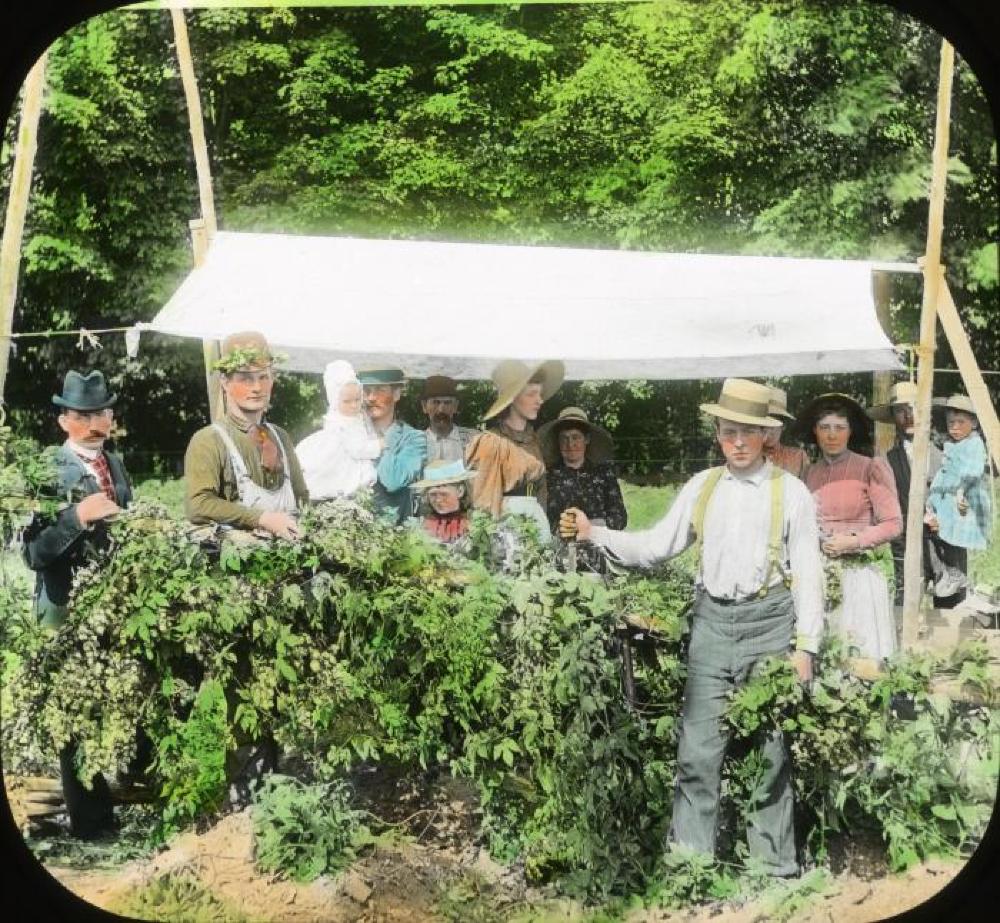 A Group of Hop Pickers Near Cooperstown, c. 1900 page 2