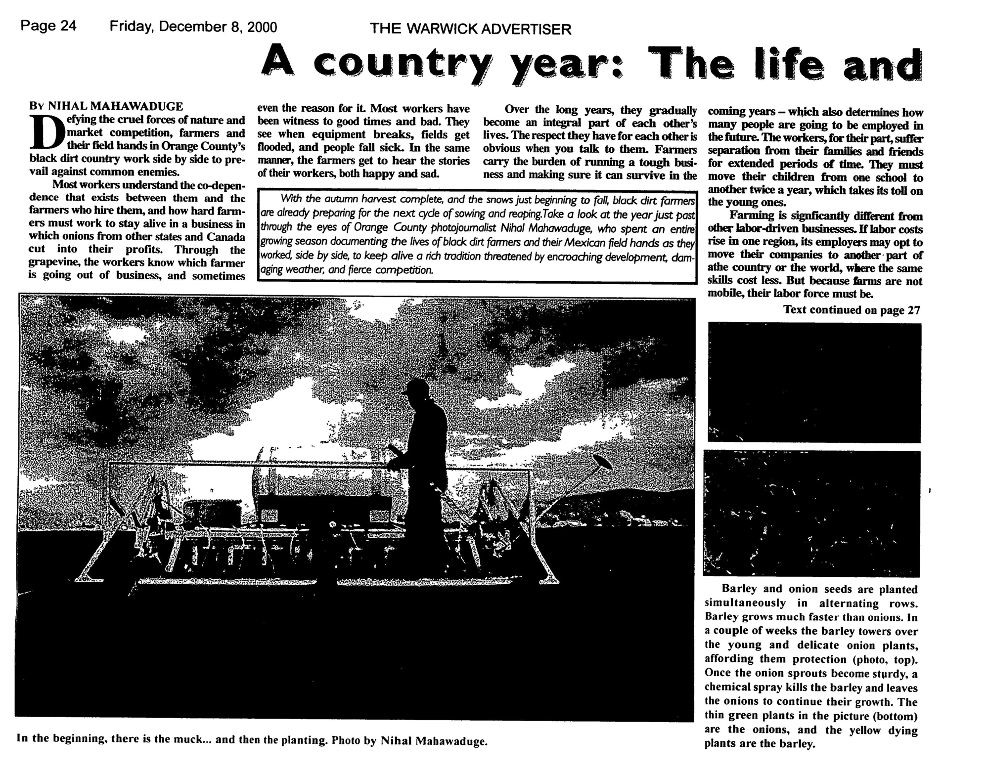 A Country Year: The Life and Times of Our Black Dirt Farm page 1