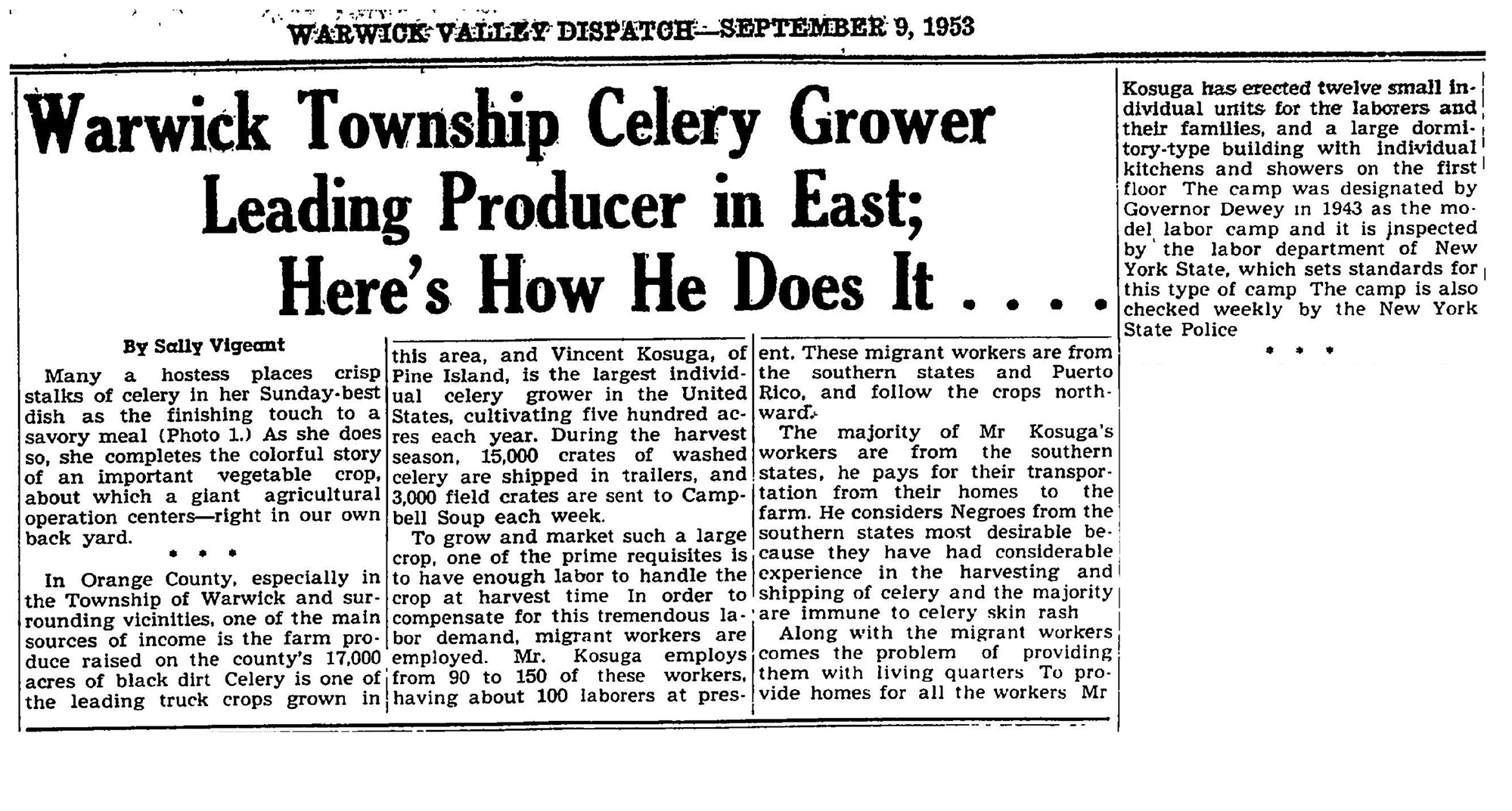 Warwick Township Celery Grower Leading Producer in East; Here's How He Does It page 1