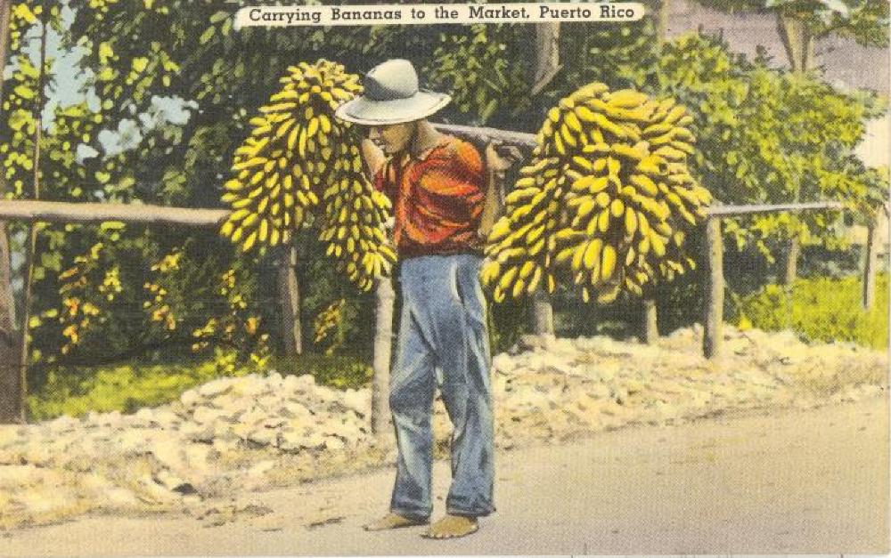 Carrying Bananas to the Market, Puerto Rico, n.d. page 1