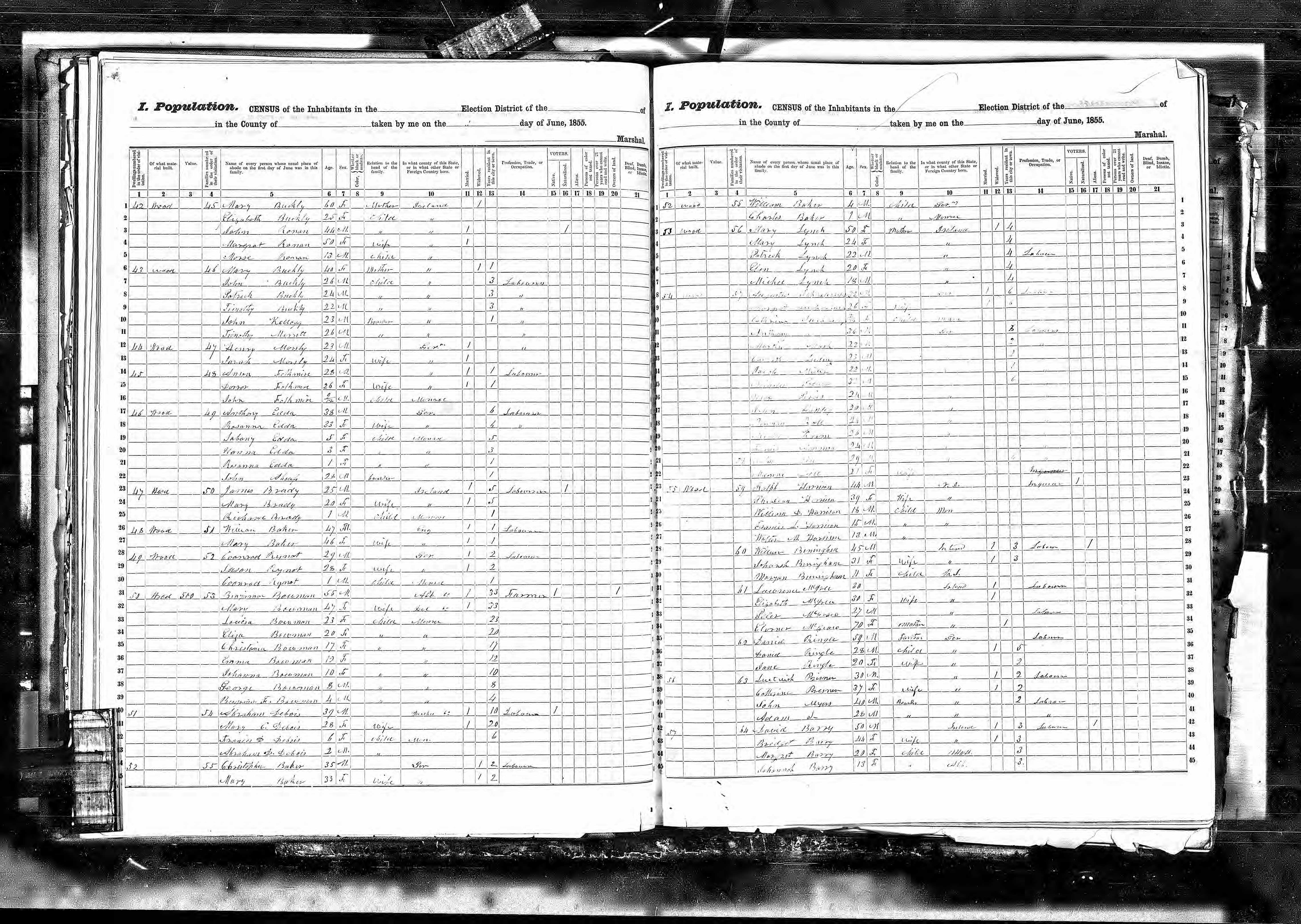 1855 New York State Census Listing Daniel Ringle page 1