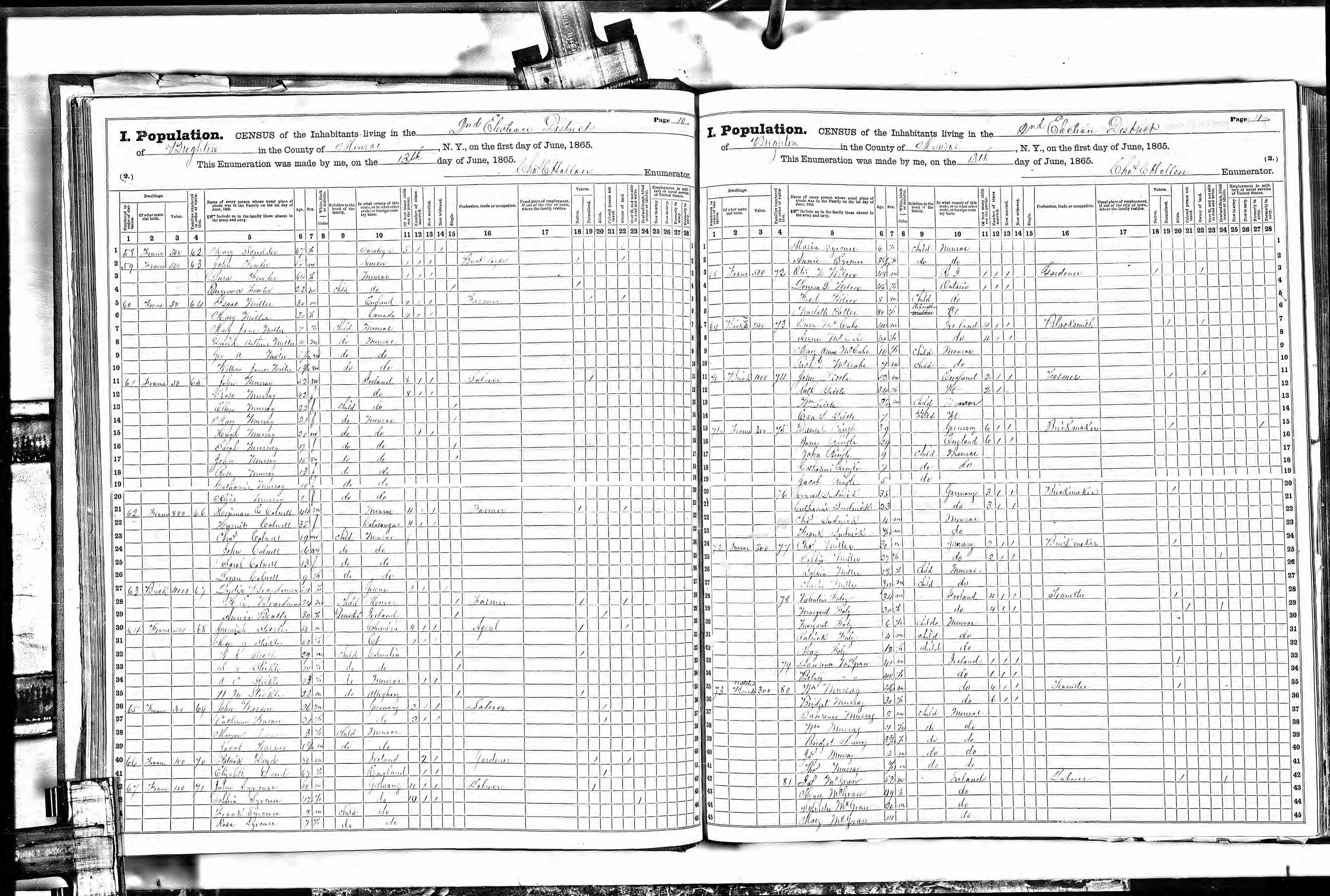 1865 New York State Census Listing Daniel Ringle page 1
