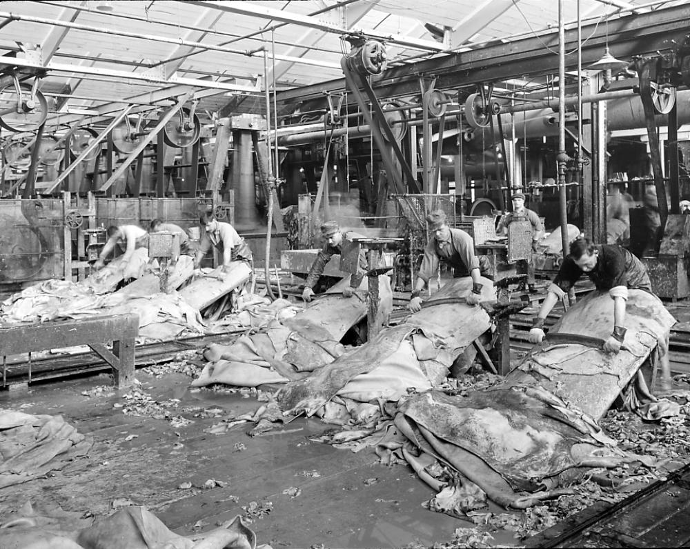 Shoemaking, Tanning: Beam Workers, Endicott Johnson Plant, Endicott, 1917 page 1