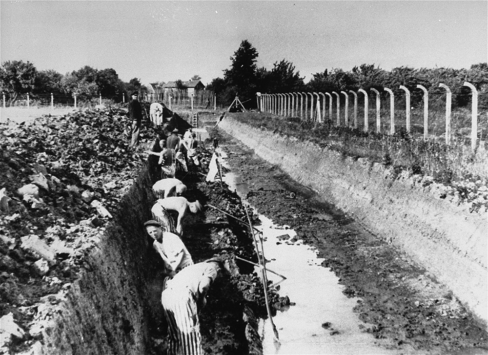 Forced labor at Neuengamme concentration camp page 1