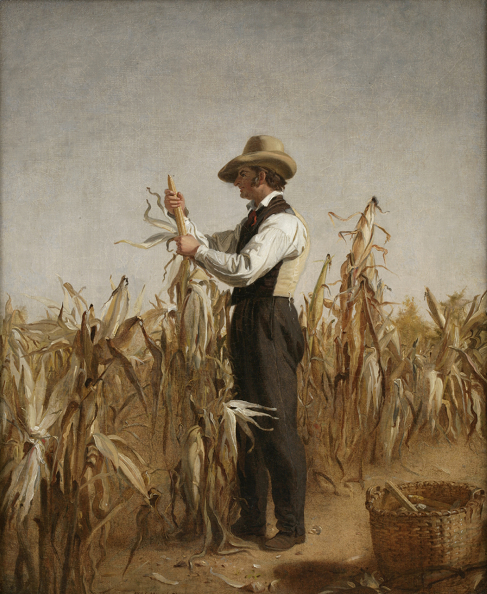 Long Island Farmer Husking Corn, by William Sidney Mount (1807–1868)  page 1