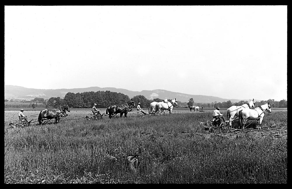 Plowing and Harrowing, 1913 page 1