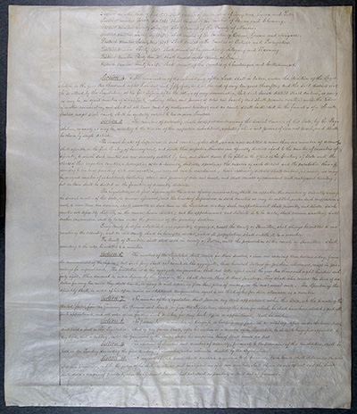 Third Constitution of the State of New York thumbnail page 7