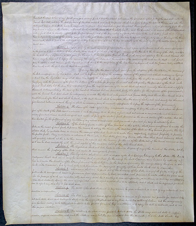 Third Constitution of the State of New York thumbnail page 12