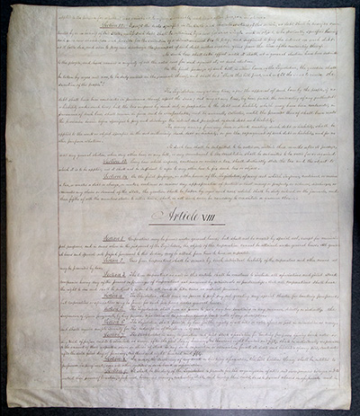 Third Constitution of the State of New York thumbnail page 13