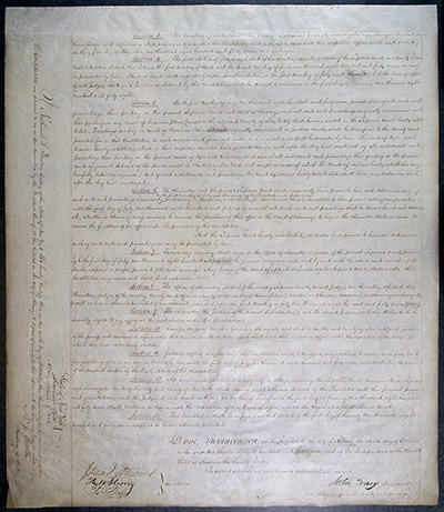Third Constitution of the State of New York thumbnail page 16