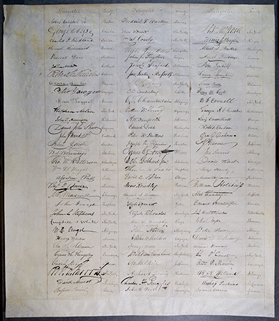 Third Constitution of the State of New York thumbnail page 17