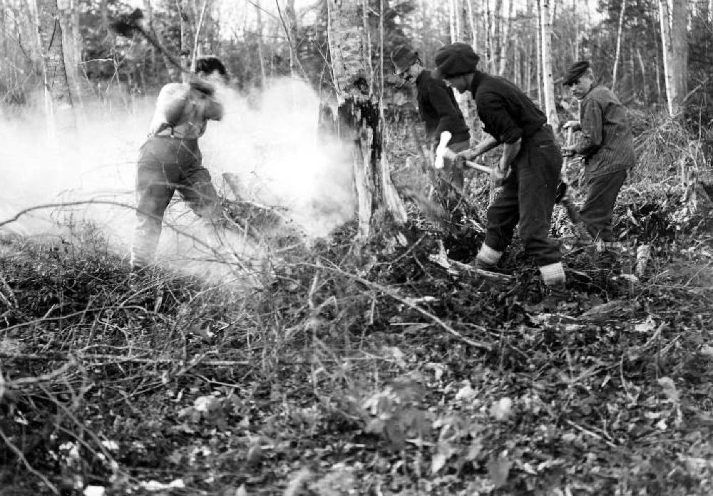 Forest Fire Control, c. 1920 page 1