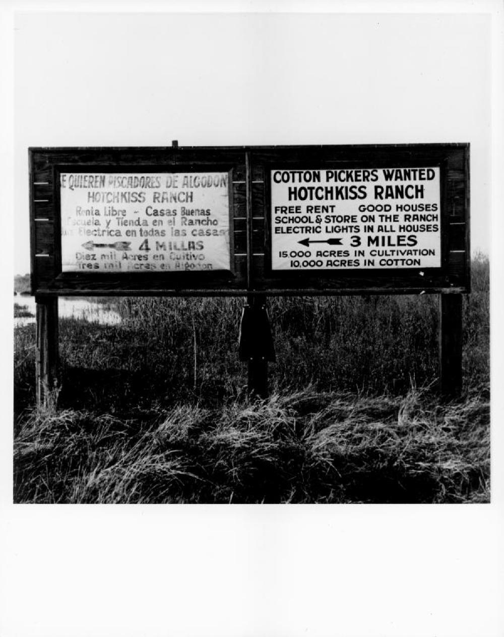 Road Sign "Cotton Pickers Wanted," in English and Spanish, 1938 page 1