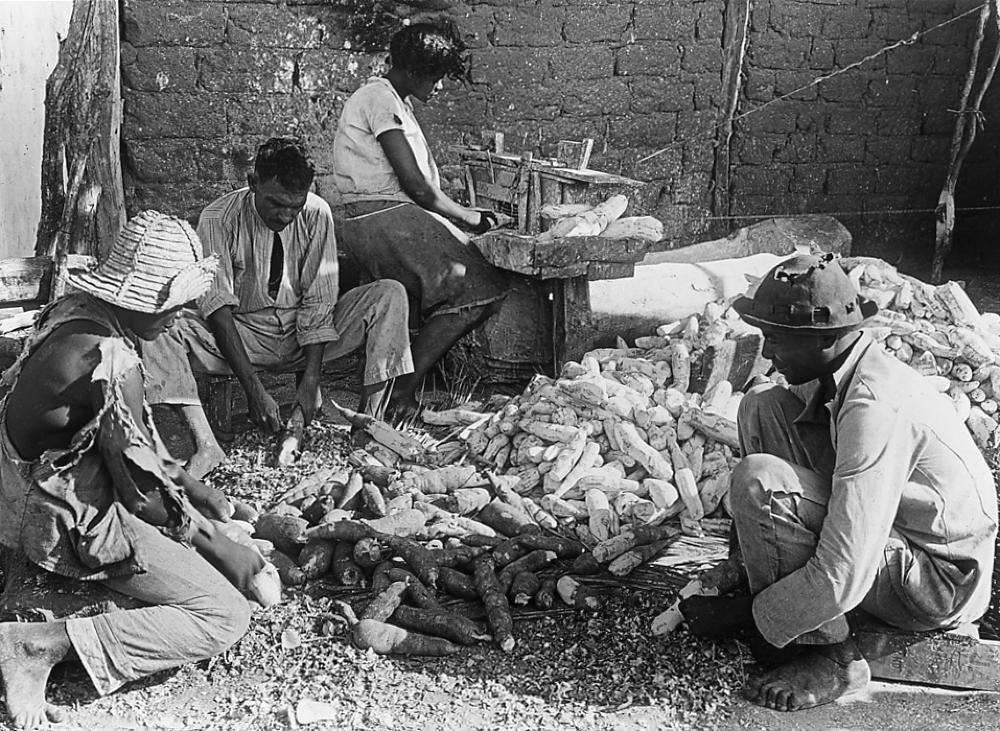 Workers Scraping Manioc Roots, 1933 page 1