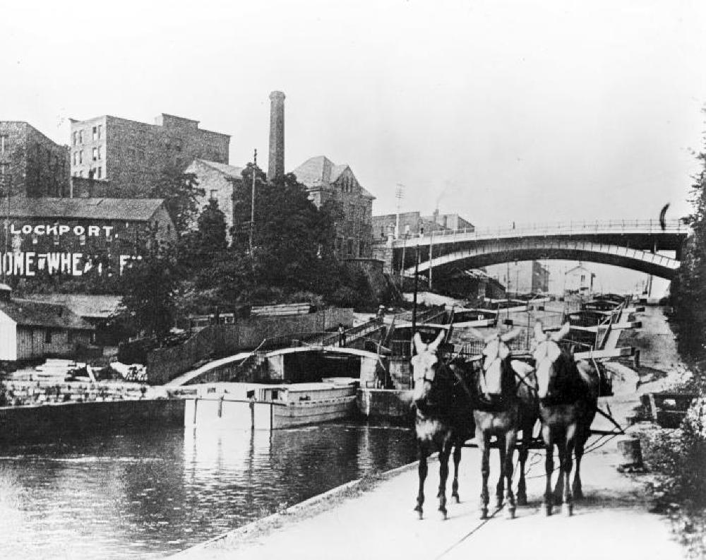 Erie Canal Locks at Lockport, Mules on Towpath, c. 1890s page 1