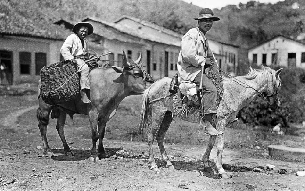Transportation in the Interior of the State of Bahia, 1915 page 1