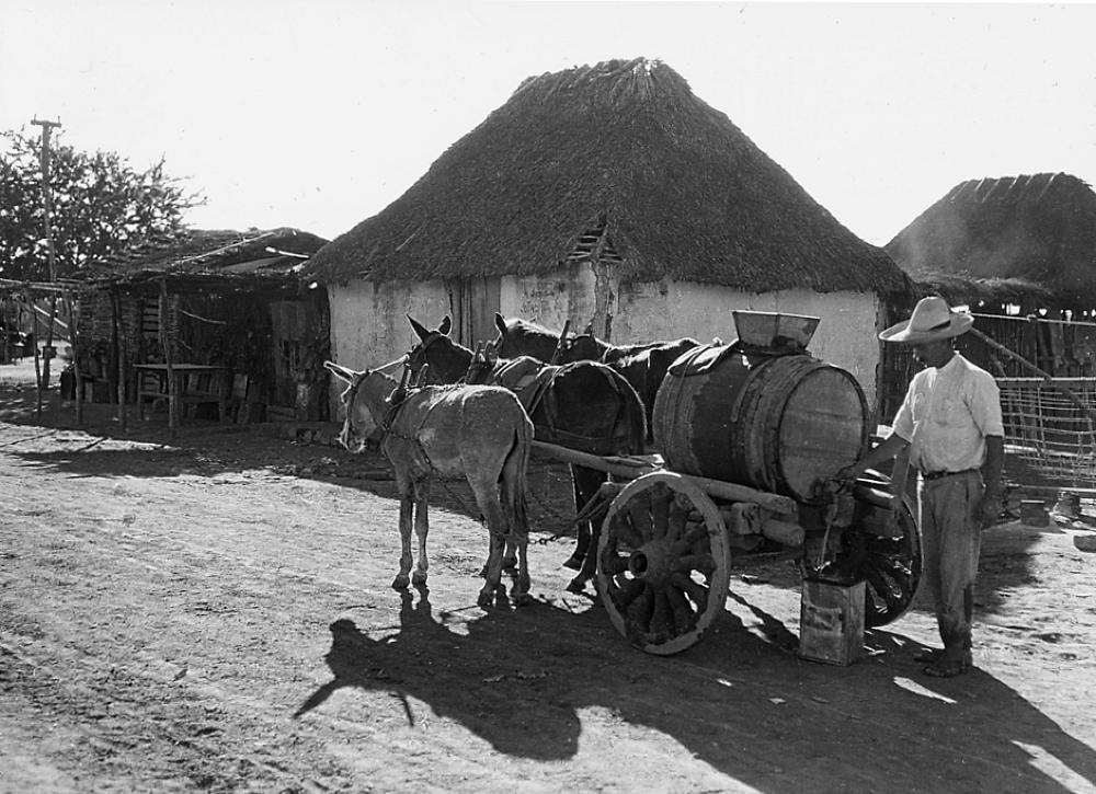 Water Wagon Drawn by Three Mules, Mexico, 1928 page 1