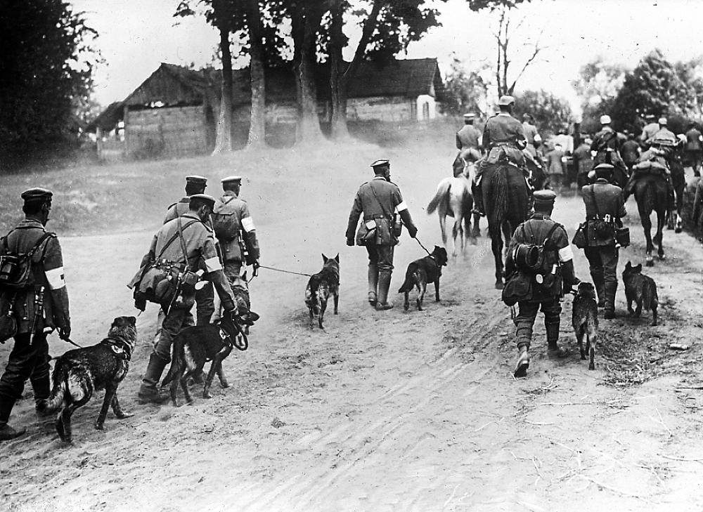 Germans Invading Russia with Their Dogs, World War I, 1915 page 1