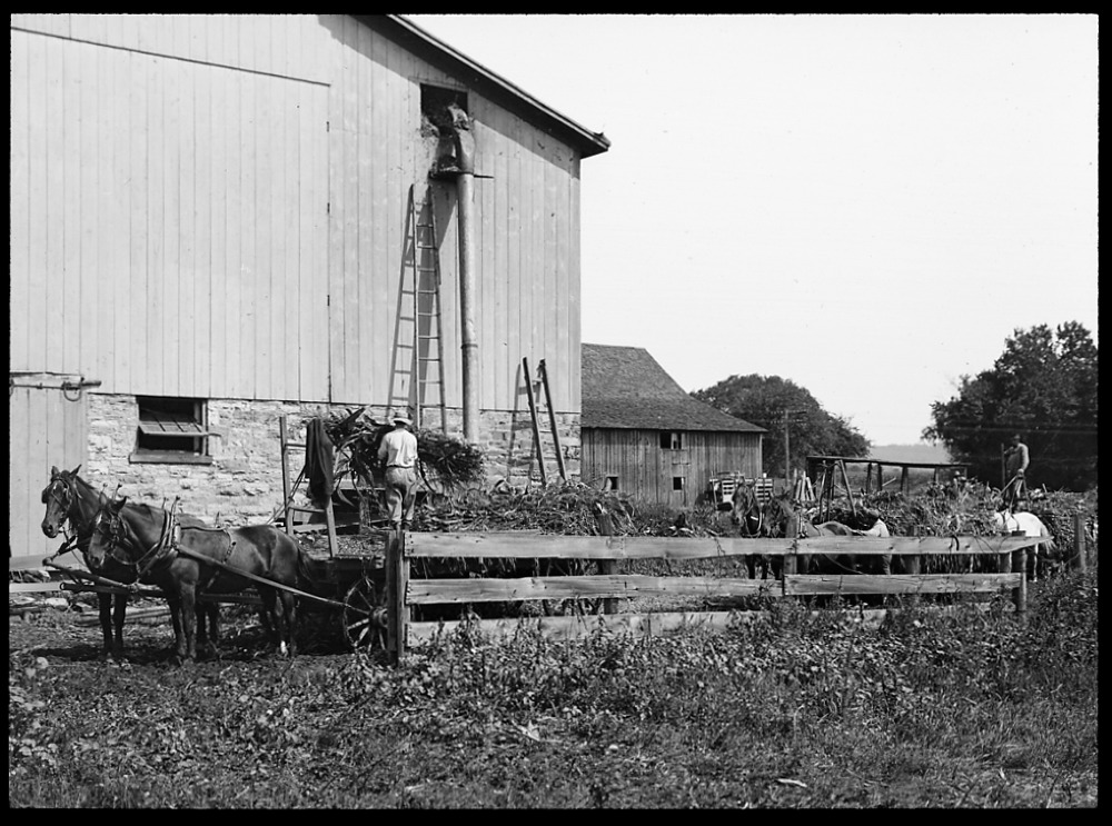 Processing and storing animal feed, 1912 page 1