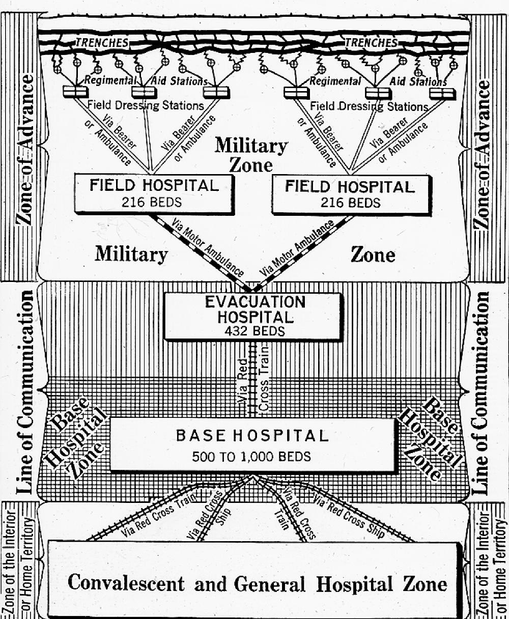 World War I Diagram of Red Cross Hospital Hierarchy, Battlefield to Convalescence, c. 1917. page 1