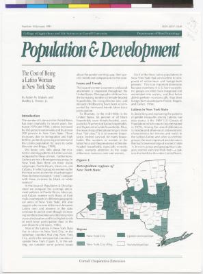 Load The Cost of Being a Latina Woman in New York State, 1991 in Main Document Viewer